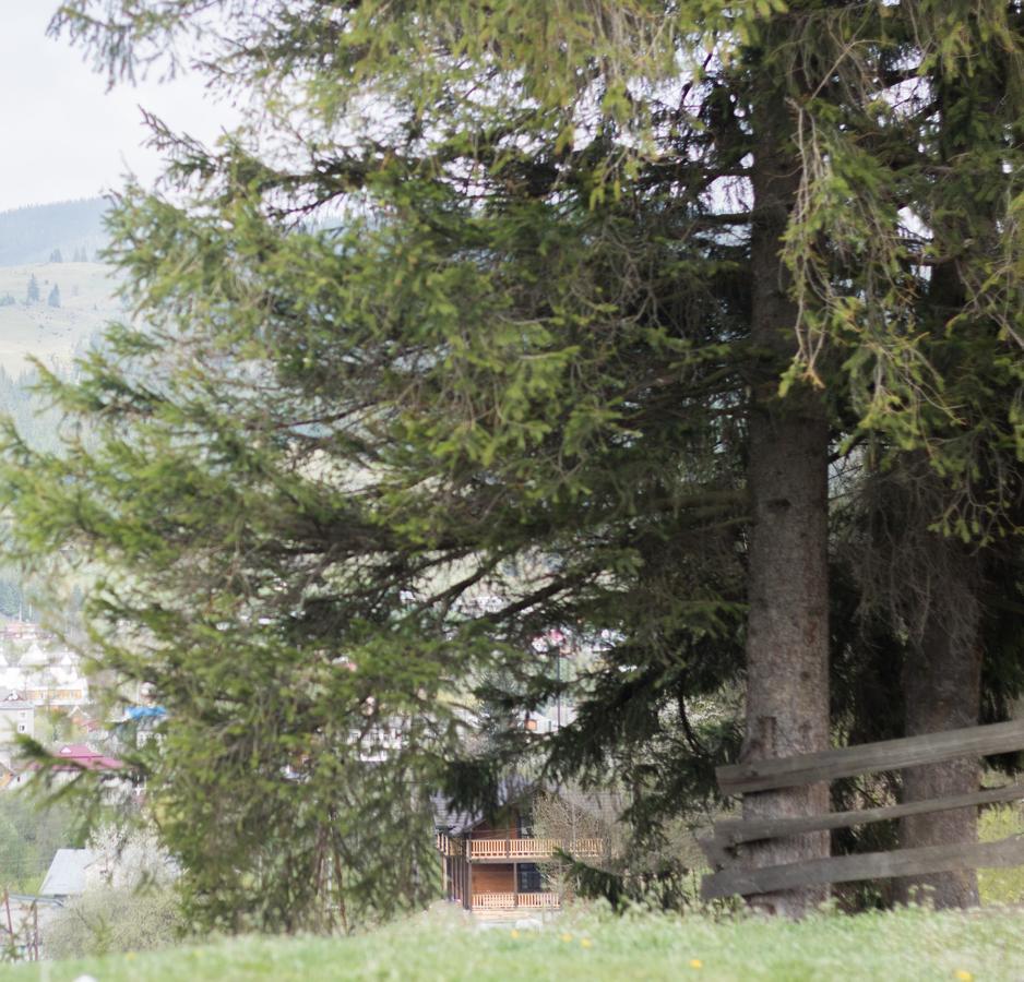Karpatska Oselia Villa Verkhovyna Buitenkant foto