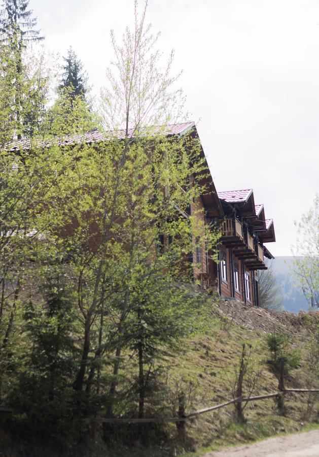 Karpatska Oselia Villa Verkhovyna Buitenkant foto
