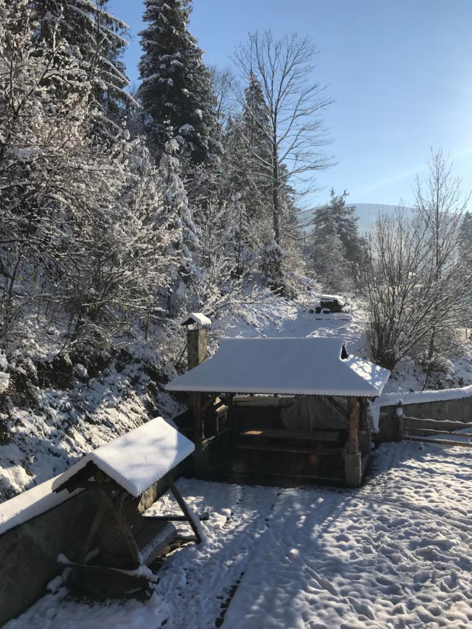 Karpatska Oselia Villa Verkhovyna Buitenkant foto