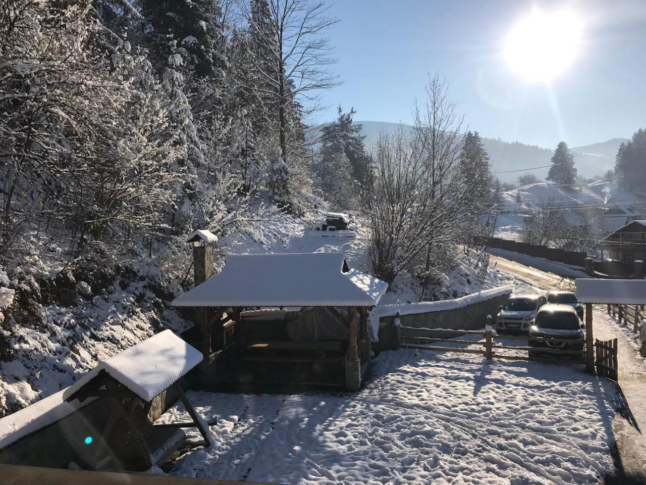 Karpatska Oselia Villa Verkhovyna Buitenkant foto